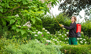 gartenpflege