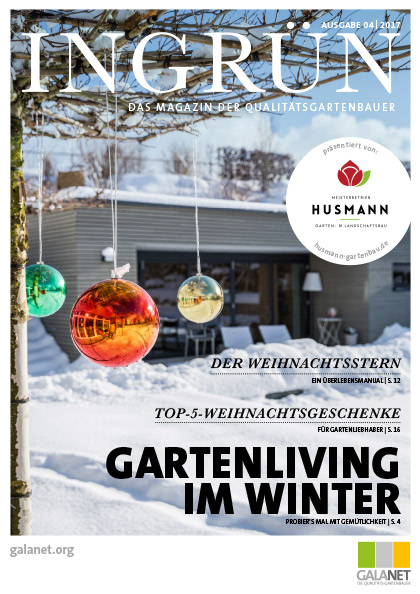 INGRÜN 04/2017